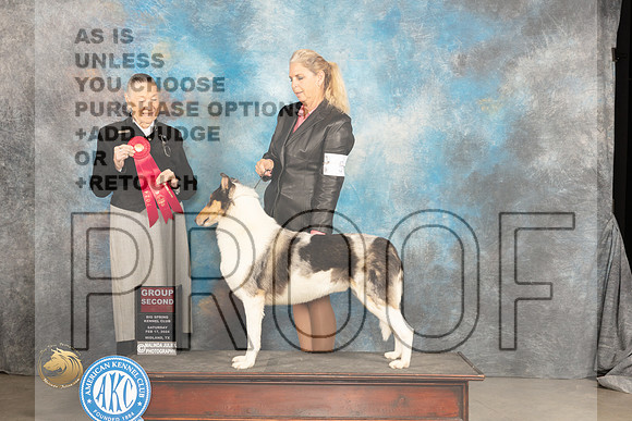 Smooth Collie #5 Sat G2 Judge Carolyn Herbel_JP_1570_MIDLAND2024_HR3