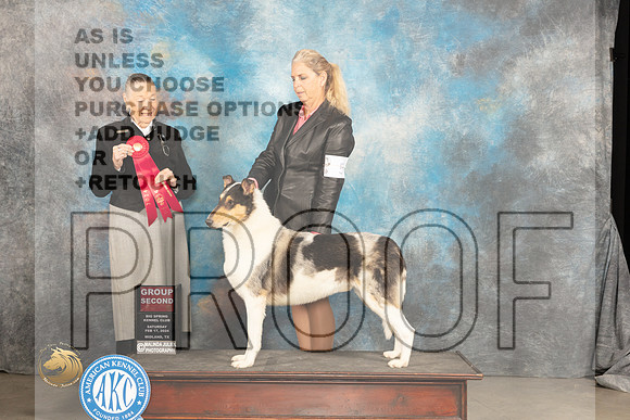 Smooth Collie #5 Sat G2 Judge Carolyn Herbel_JP_1573_MIDLAND2024_HR3