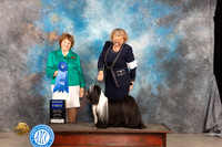 Tibetan Terrier #5 Sat G1 Judge Donnelle Richards