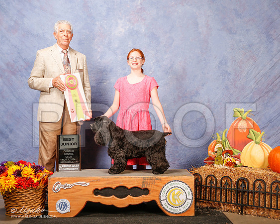 _CL_4488-3-SanAngelo2014-HR3