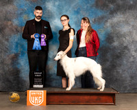 Silken Windhound #331 Fri BOBG1 Judge Kevin Izard Carroll
