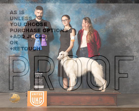 Silken Windhound #331 Fri BOBG1 Judge Kevin Izard Carroll_MMJ_4840_BeltonTxClassic2021-HR3