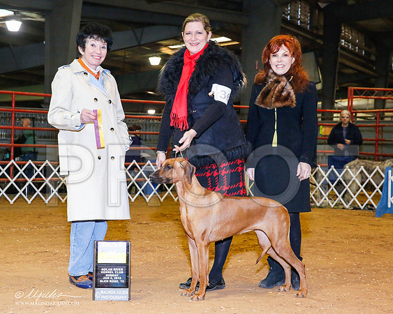 _RH_8888-2-GlenRoseJan2015-HR3