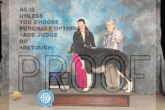 Borzoi #7 Sun BOW Judge Marilyn Pipes_JP_1797_MIDLAND2024_HR3
