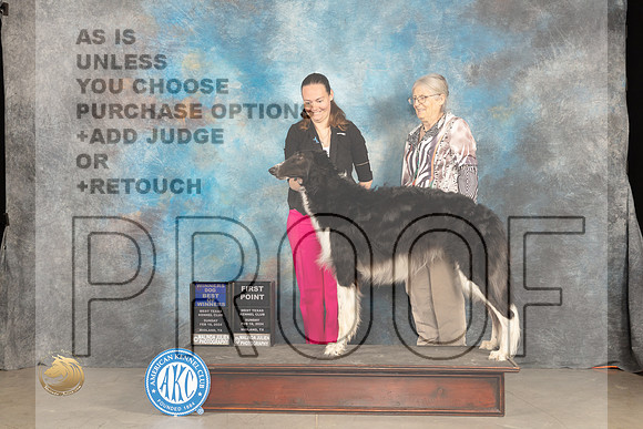 Borzoi #7 Sun BOW Judge Marilyn Pipes_JP_1801_MIDLAND2024_HR3