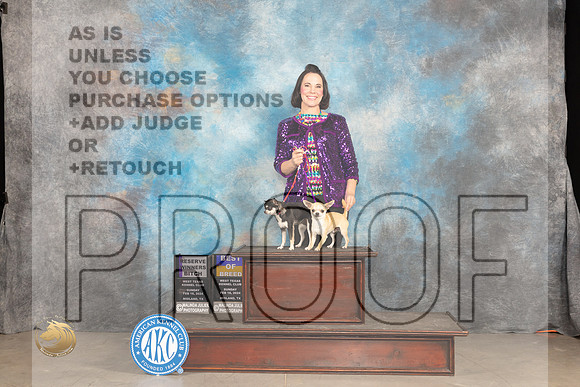Chihuahua Smooth #6 #20 Sunn BOB RWB Judge Denny Mounce_JP_1754_MIDLAND2024_HR3