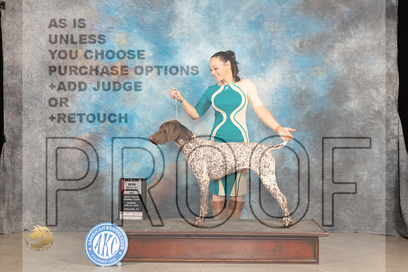 German Shorthaired Pointer #5 Sun BOSM Judge Del Richards_JP_1706_MIDLAND2024_HR3