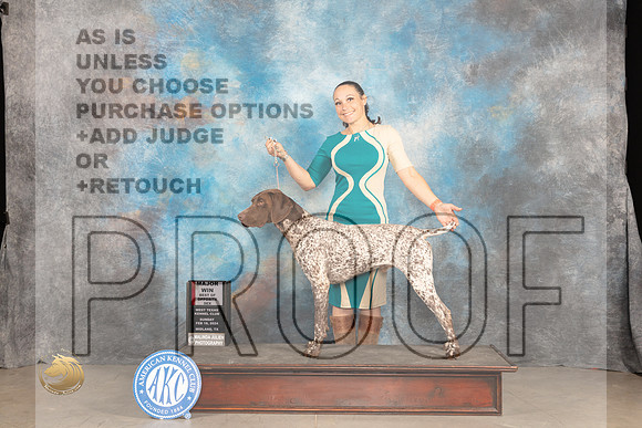 German Shorthaired Pointer #5 Sun BOSM Judge Del Richards_JP_1707_MIDLAND2024_HR3