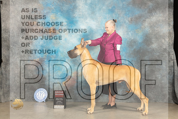 Great Dane #7 Sat G2 Judge Carolyn Herbel_JP_1696_MIDLAND2024_HR3