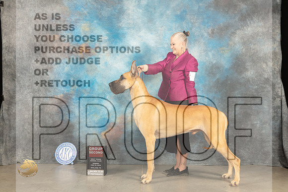 Great Dane #7 Sat G2 Judge Carolyn Herbel_JP_1697_MIDLAND2024_HR3