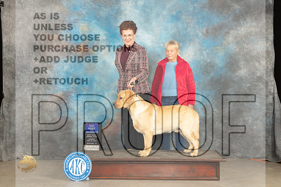 Labrador Retreiver #5 Sun BOW Judge Marilyn Pipes_JP_1719_MIDLAND2024_HR3