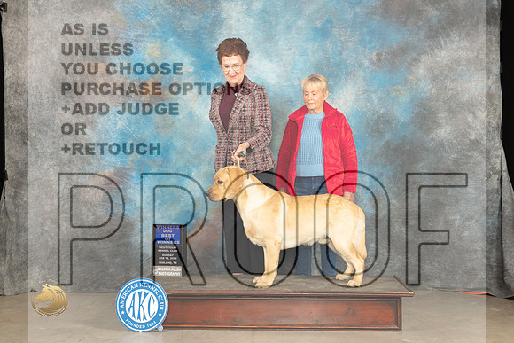Labrador Retreiver #5 Sun BOW Judge Marilyn Pipes_JP_1720_MIDLAND2024_HR3
