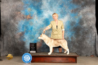 Siberian Husky #7 Sun 4to6PG1 Judge Dale Martensen
