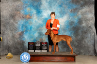 Vizsla #11 Fri WDBOS Sat S no Judge