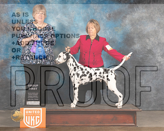 Dalmatian #107 Fri G1 Judge Pam Moore_MMJ_4897_BeltonTxClassic2021-HR3