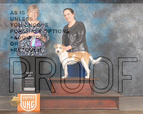 Kromfohrlander #222 Fri BOB Judge Pam Moore_MMJ_4901_BeltonTxClassic2021-HR3