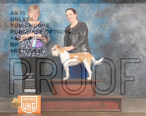 Kromfohrlander #222 Fri BOB Judge Pam Moore_MMJ_4903_BeltonTxClassic2021-HR3