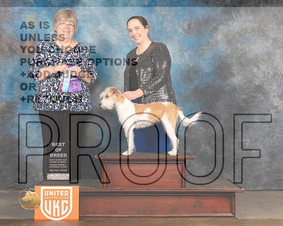 Kromfohrlander #222 Fri BOB Judge Pam Moore_MMJ_4902_BeltonTxClassic2021-HR3