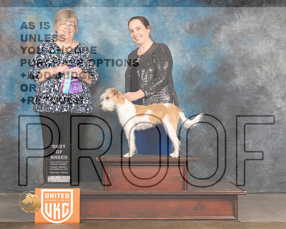 Kromfohrlander #222 Fri BOB Judge Pam Moore_MMJ_4904_BeltonTxClassic2021-HR3