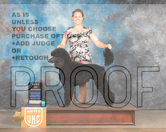 Poodle Std #282 Fri BOW Judge Kevin Izard Carroll_MMJ_4885_BeltonTxClassic2021-HR3