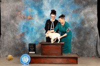 French Buldog #5 Sun 4to6G1 Judge Donelle Richards