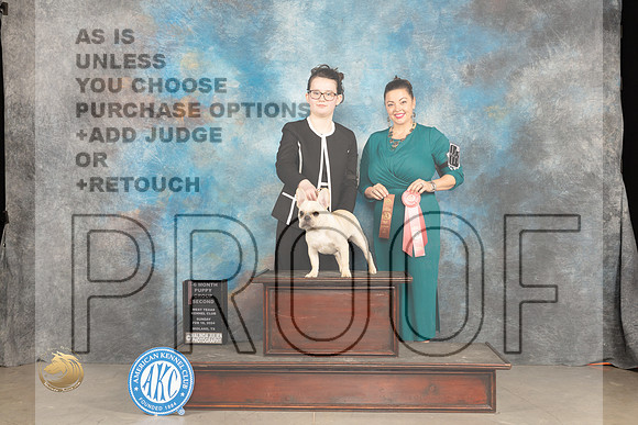French Buldog #5 Sun 4to6G1 Judge Donelle Richards_JP_1829_MIDLAND2024_HR3