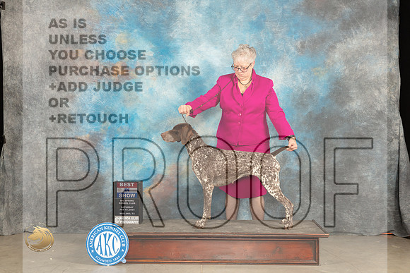 German Shorthaired Poinnter #6 Sat BIS Judge Gloria Kerr r_JP_1859_MIDLAND2024_HR3