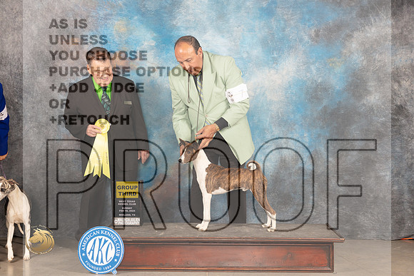 Basenji #7 Sun G3 Judge Del Richards_JP_2051_MIDLAND2024_HR3