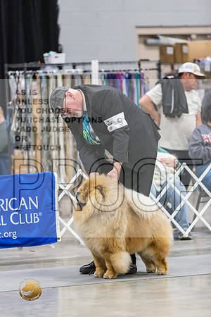 Chow RingsJJL_0002_MIDLAND2024_HR3