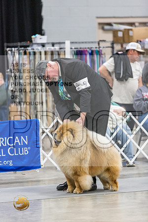 Chow RingsJJL_0003_MIDLAND2024_HR3