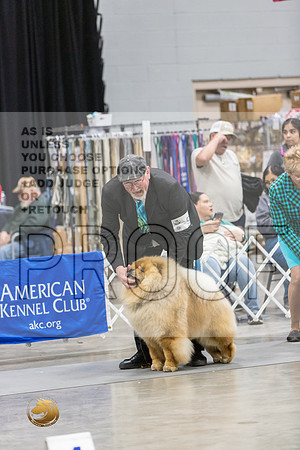 Chow RingsJJL_9996_MIDLAND2024_HR3