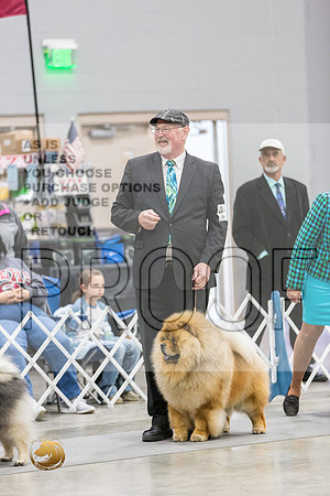 Chow RingsJJL_9995_MIDLAND2024_HR3