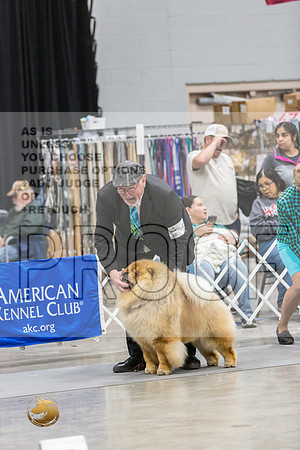Chow RingsJJL_9997_MIDLAND2024_HR3