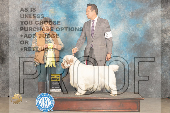Clumber Spaniel #7 Sun G3 Judge Marilyn Pipes_JP_1986_MIDLAND2024_HR3
