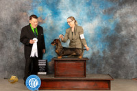 Dachshund Wirehaired #6 Sunn G4 Judge Del Richards