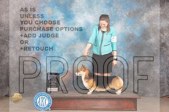 Pembroke Welsh Corgi #23 Sunn WDBOWCH Judge Judy Brown_JP_2003_MIDLAND2024_HR3