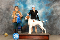 Pointer #5 Sun G1 Judge Marilyn Pipes