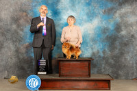 Pomeranian #12 Sun WB Judge Dale Martensen