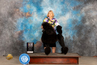 Poodle Std #10 Sun BOWBOV Judge Carolyn Herbel