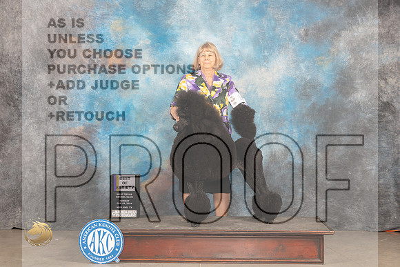 Poodle Std #10 Sun BOWBOV Judge Carolyn Herbel_JP_2012_MIDLAND2024_HR3