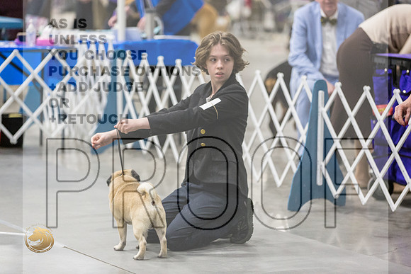 Pug Fireball RingJJL_9687_MIDLAND2024_HR3