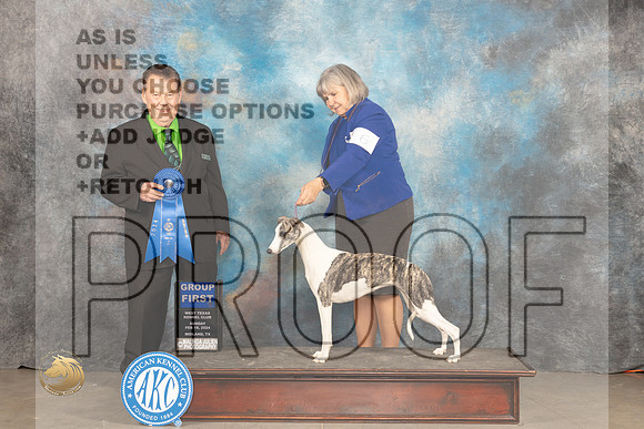 Whippet #6 Sun G1 Judge Del Richards_JP_2045_MIDLAND2024_HR3