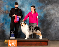 Australian Shepherd #133 Fri G2 Judge Kevin Izard Carroll