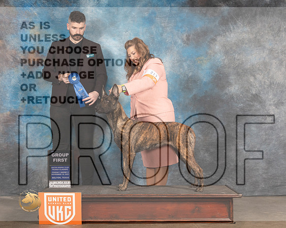 Dutch Shepherd #446 G1 Judge Kevin Izard Carroll_MMJ_4939_BeltonTxClassic2021-HR3