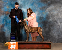 Dutch Shepherd #446 G1 Judge Kevin Izard Carroll