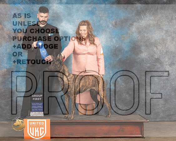 Dutch Shepherd #446 G1 Judge Kevin Izard Carroll_MMJ_4944_BeltonTxClassic2021-HR3