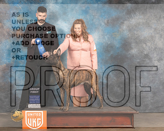 Dutch Shepherd #446 G1 Judge Kevin Izard Carroll_MMJ_4946_BeltonTxClassic2021-HR3