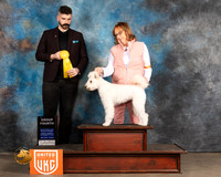 Pumi #117 Fri G4 Judge Kevin Izard Carroll