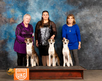 Silken Windhound 3 Sisters