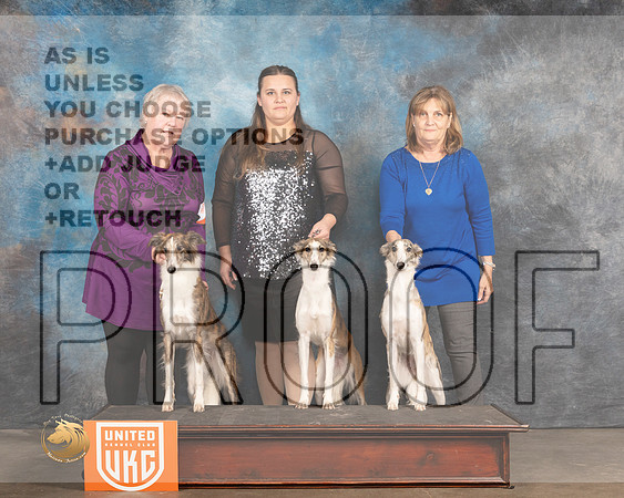 Silken Windhound 3 Sisters_MMJ_4982_BeltonTxClassic2021-HR3
